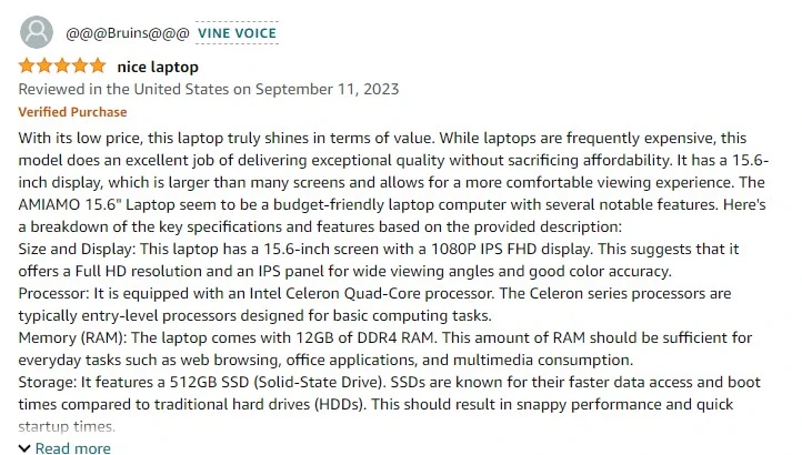 Customer review of amiamo laptop